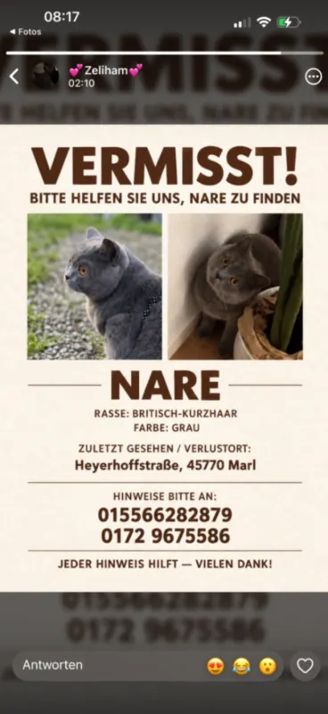 Nare, Marl