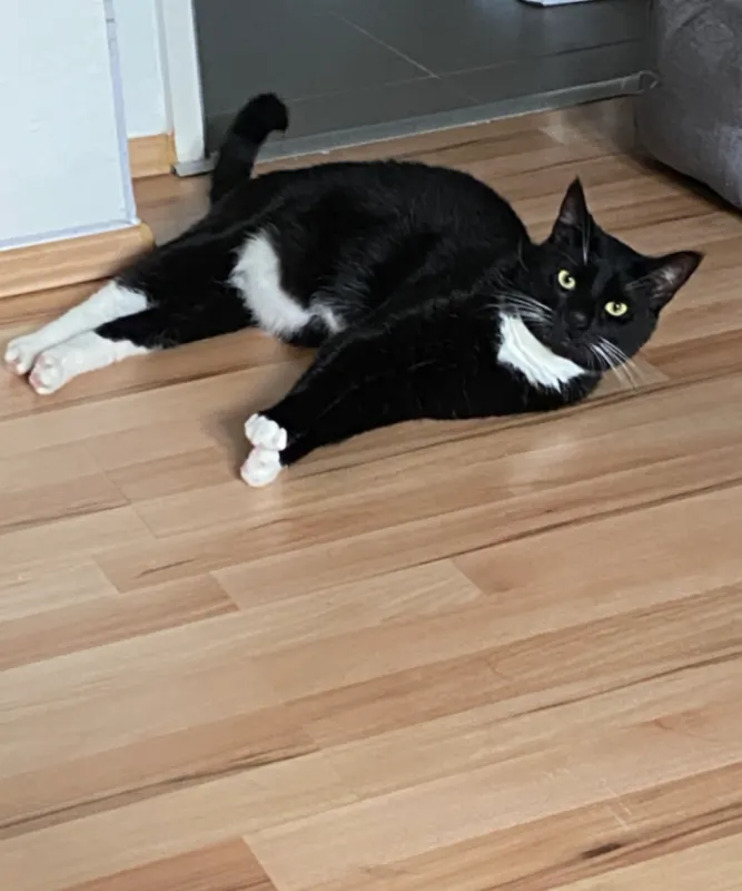 Tom, Bergheim