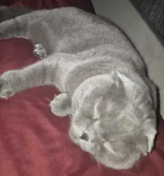 Otis, Freyburg (Unstrut)