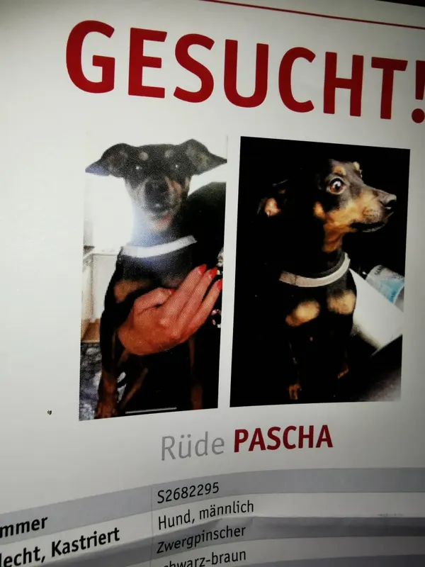 Pascha, Meinerzhagen