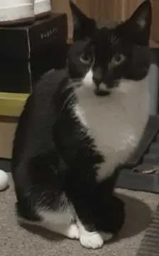 Hugo, Sömmerda