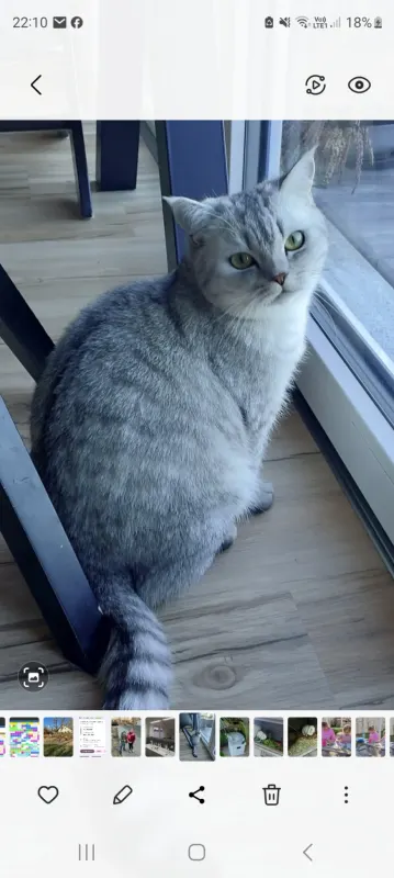 Timmy, Merseburg