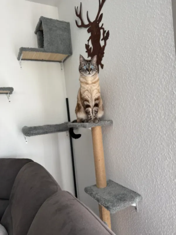Loki, Burscheid