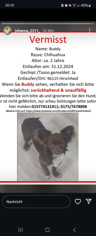Buddy, Bamberg