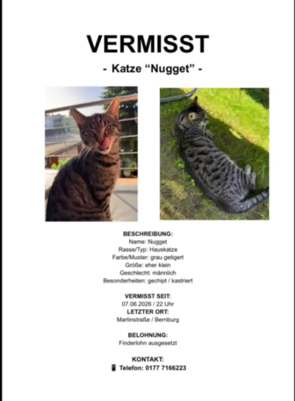 Nugget, Bernburg