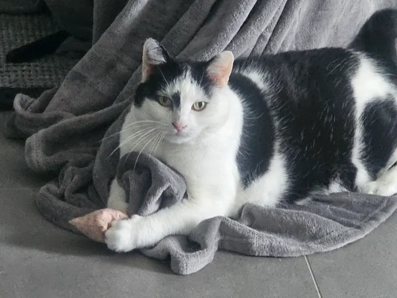 Lilly, Eutin
