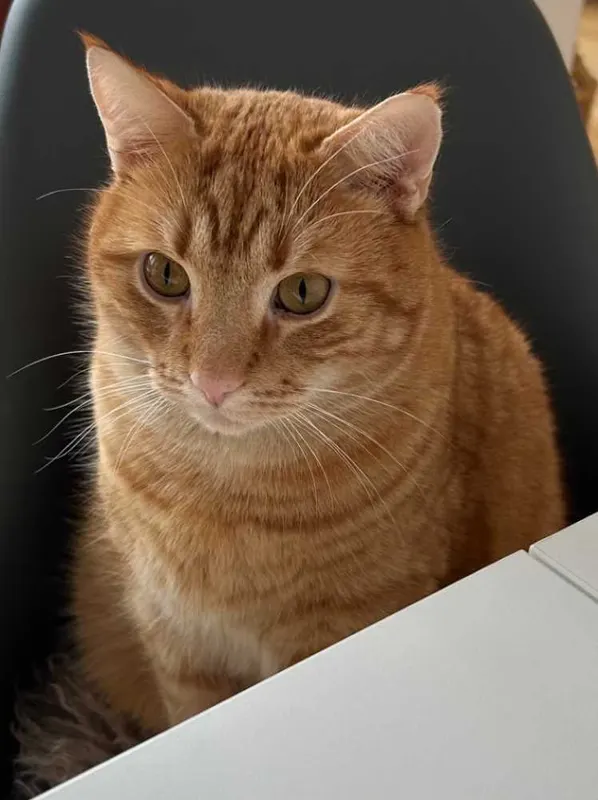 Jerry, Potsdam