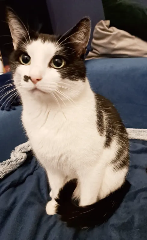 Pablo, Bückeburg