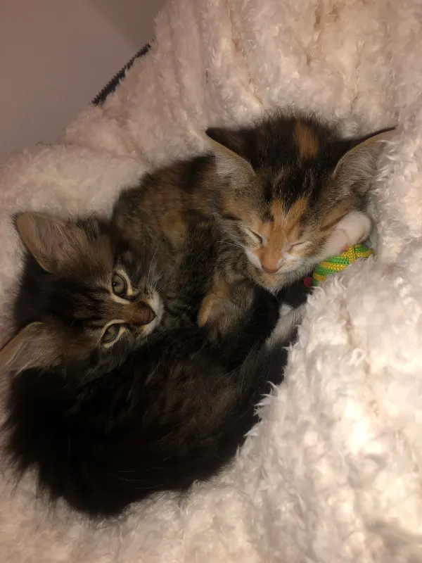 Pablo und Myo, Kelheim