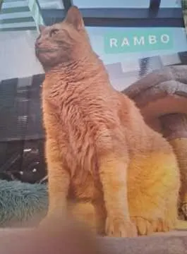 Rambo, Bad Münder am Deister