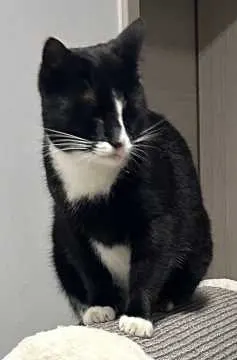 Findus, Lehrte