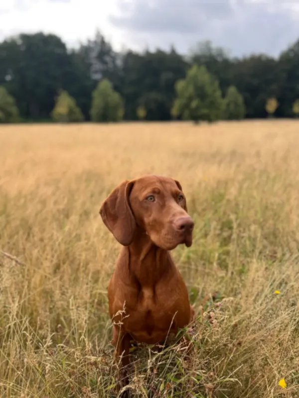 Paco, Münster
