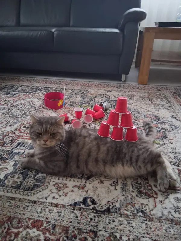 Simba, Mühldorf