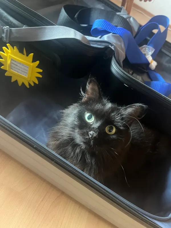 Mogli, Mühldorf