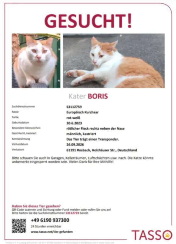 Boris, Friedrichsdorf