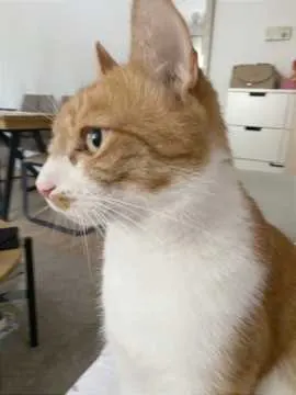 Max, Nürnberg