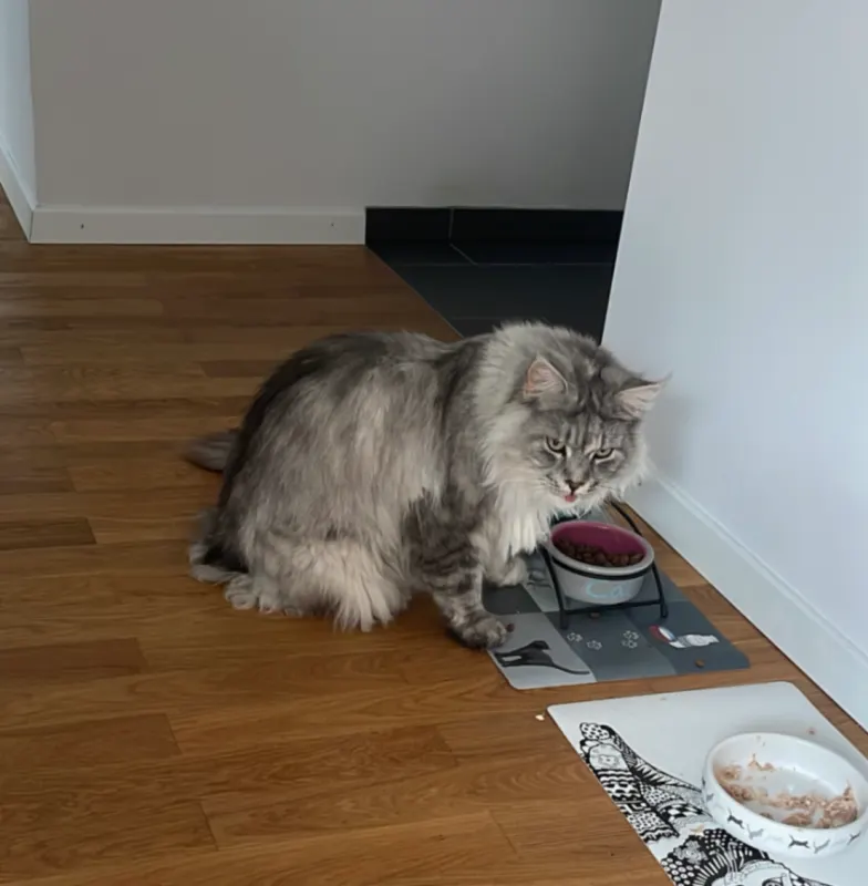 Cleo, Neustadt an der Weinstraße