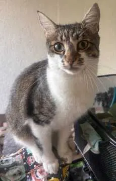 Willy, Reutlingen