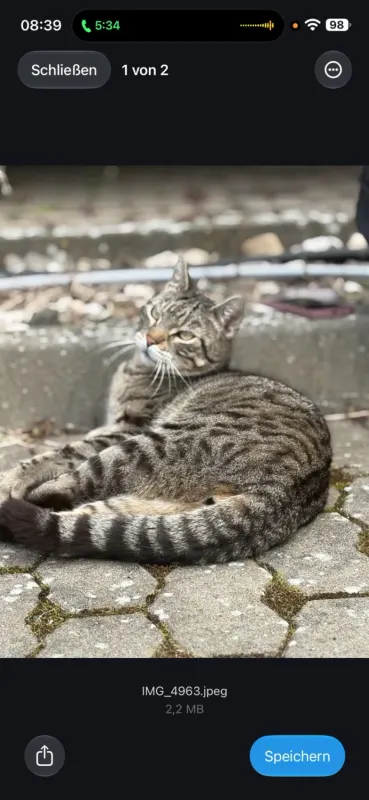 Simba, Neuwied