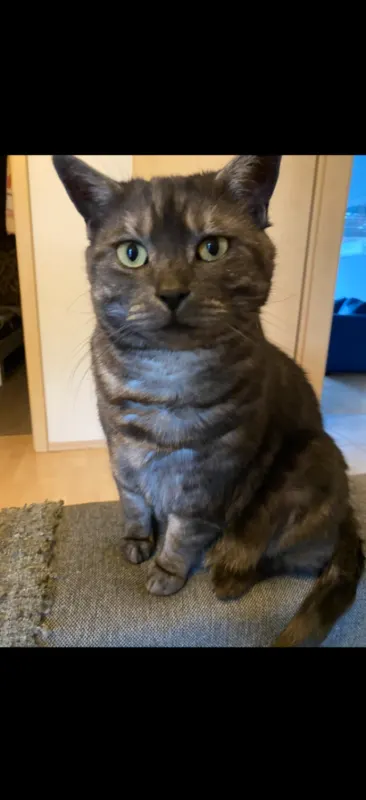 Jack, Bendorf