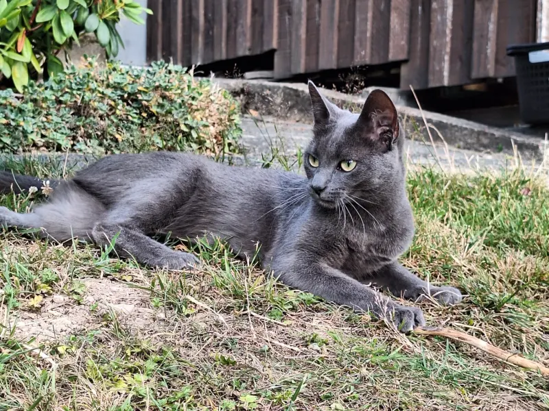Maggy, Hückeswagen