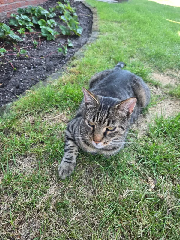 Baby, Burgdorf