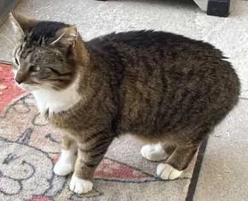 Max, Bad Salzungen