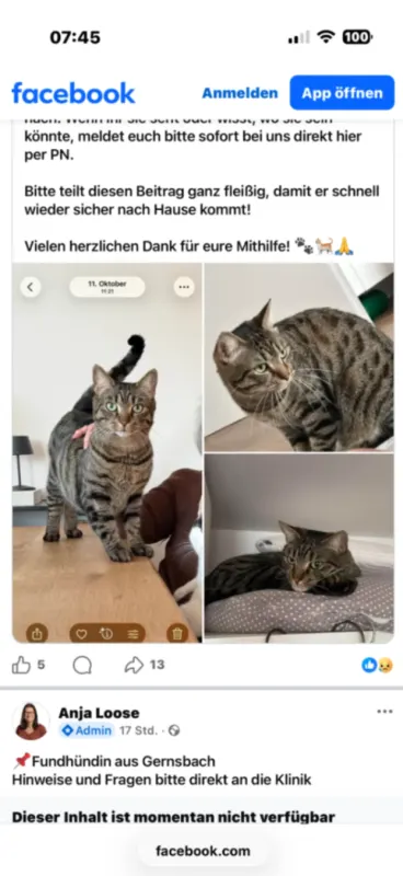 Broly, Rastatt