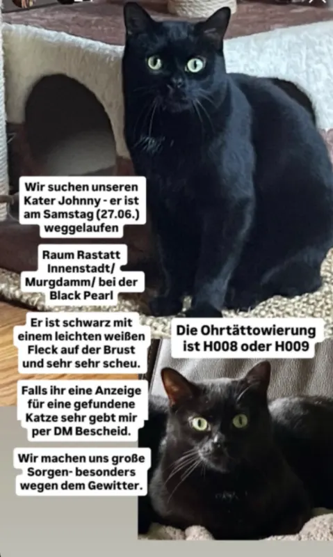 Jonny, Rastatt