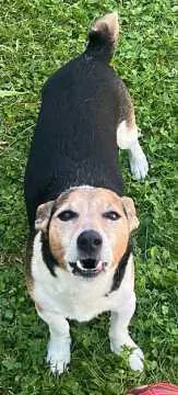 Milo, Hüttenberg