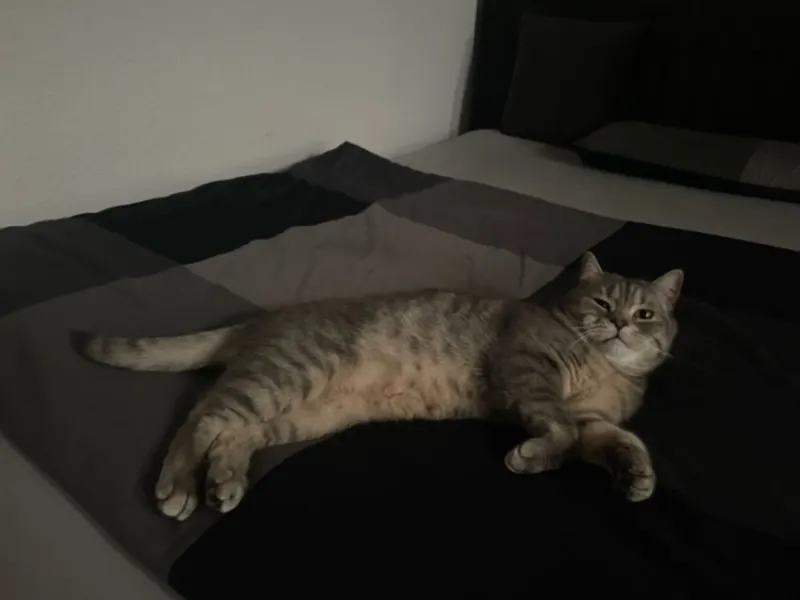 Balu, Garbsen