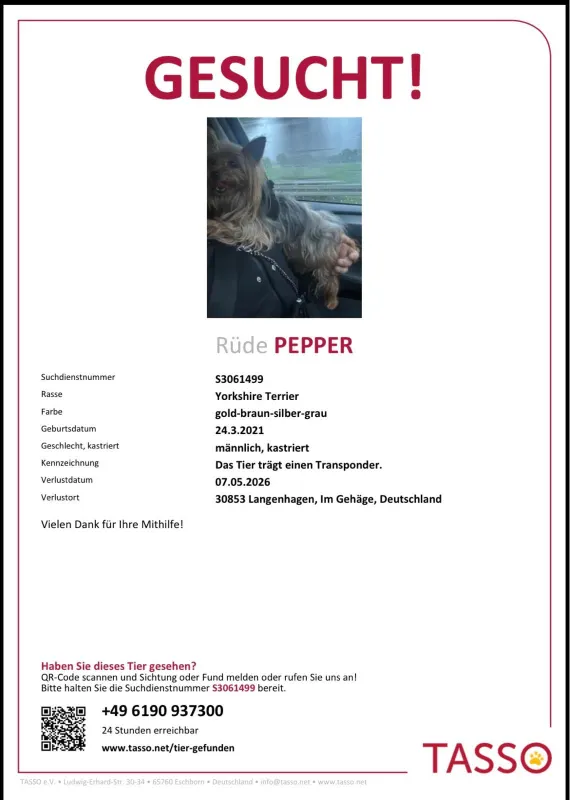 Pepper, Langenhagen