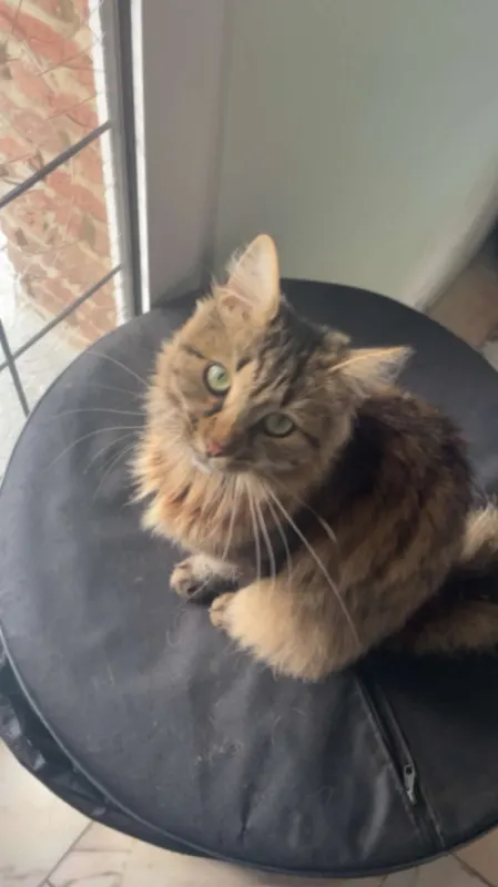 Nina, Löhne