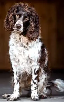 Dakota, Schlüsselfeld