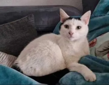 Luna, Brilon