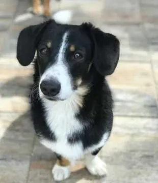 Lenny, Berlin