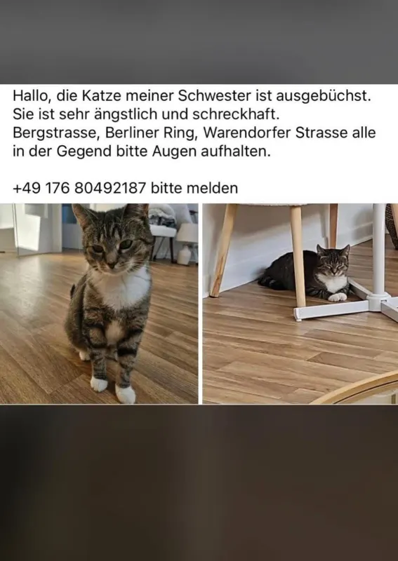 Annnesi, Oelde