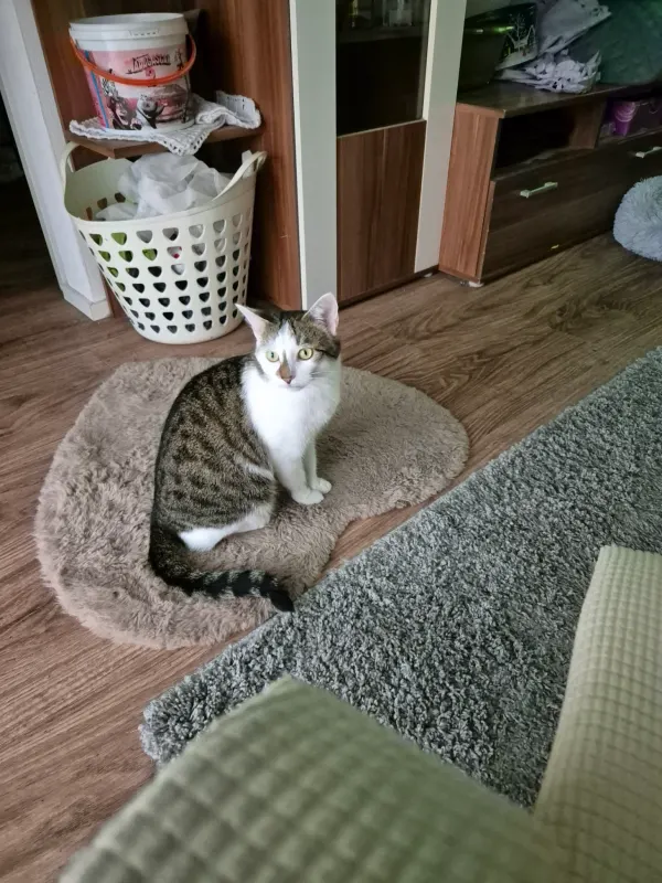 Balu, Vaterstetten