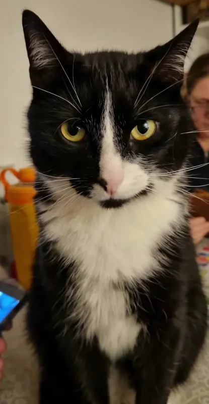 Momo, Lüneburg