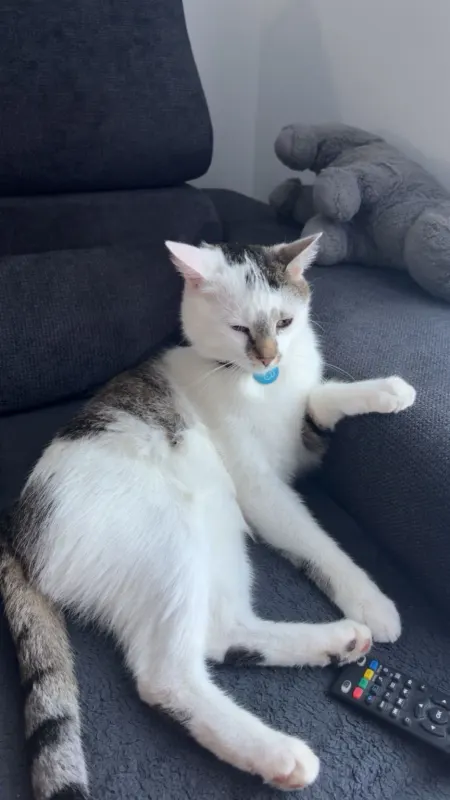 Sammy, Lüneburg