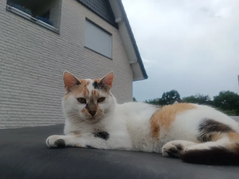 Mika, Bad Salzuflen