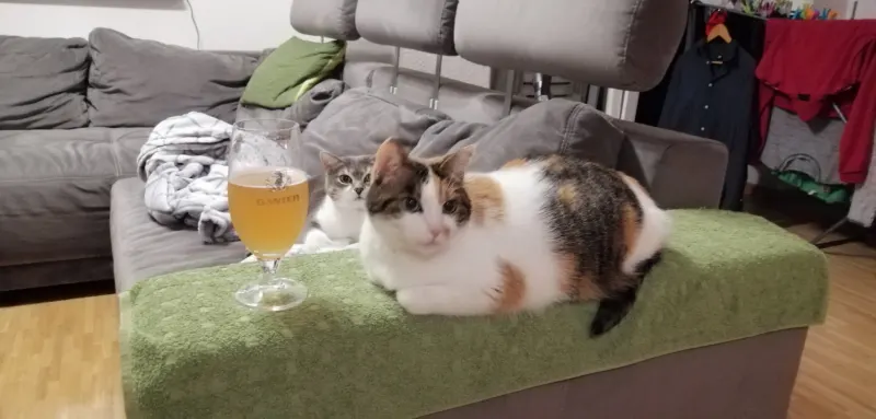 Molly, Müllheim