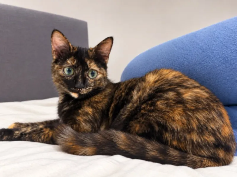 Mila, Eschborn