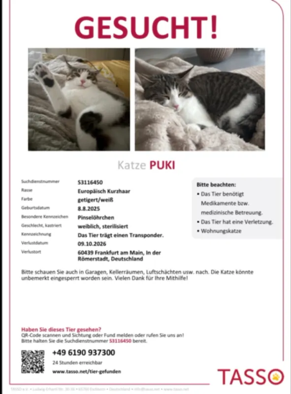 Puki, Eschborn