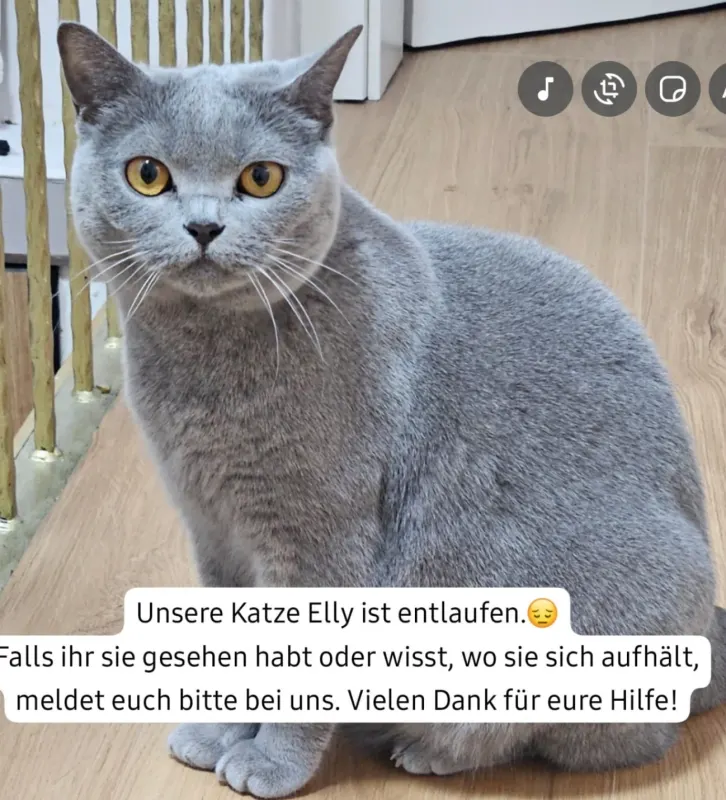 Elly, Bad Vilbel