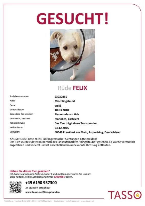 Felix, Hattersheim
