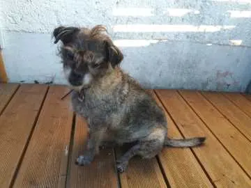 Pippi, Leutkirch