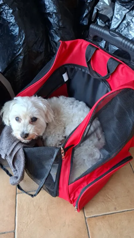 Rudi, Bad Vilbel