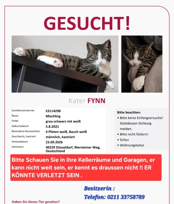 Fynn, Wersten