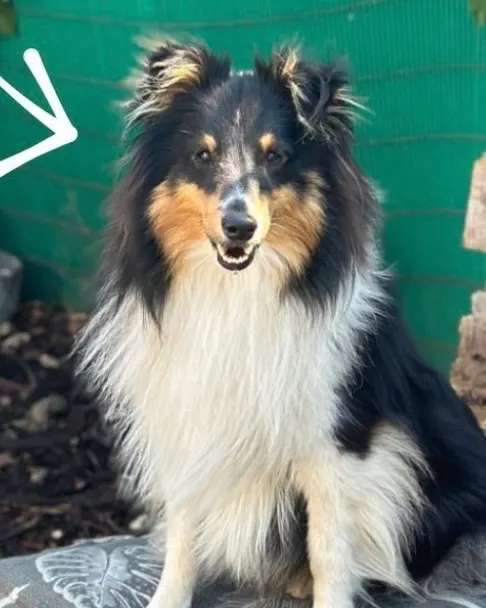 Oscar, Erkrath